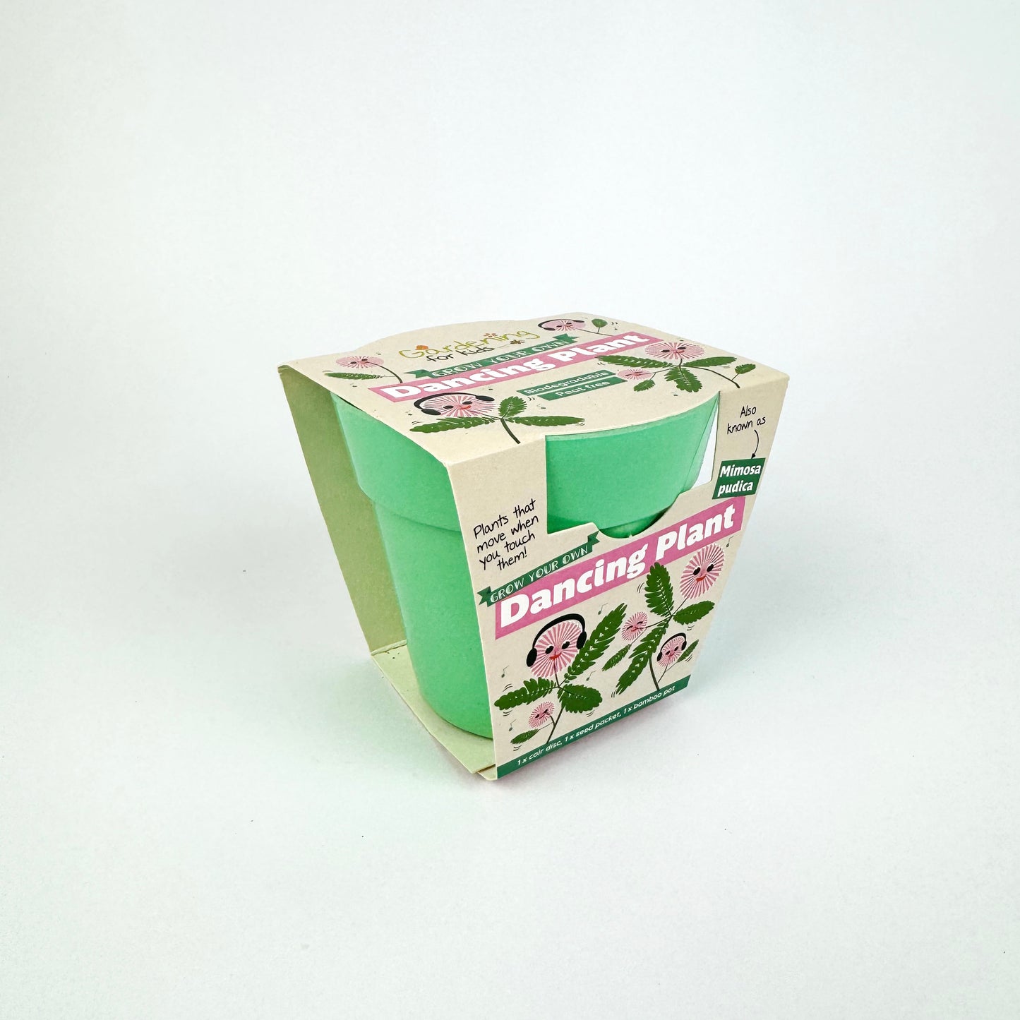Grow Your Own Dancing Plant Kit