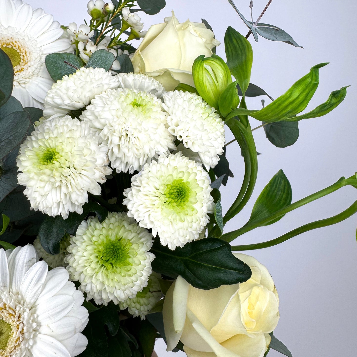 White Radiance Fresh Flower Bouquet