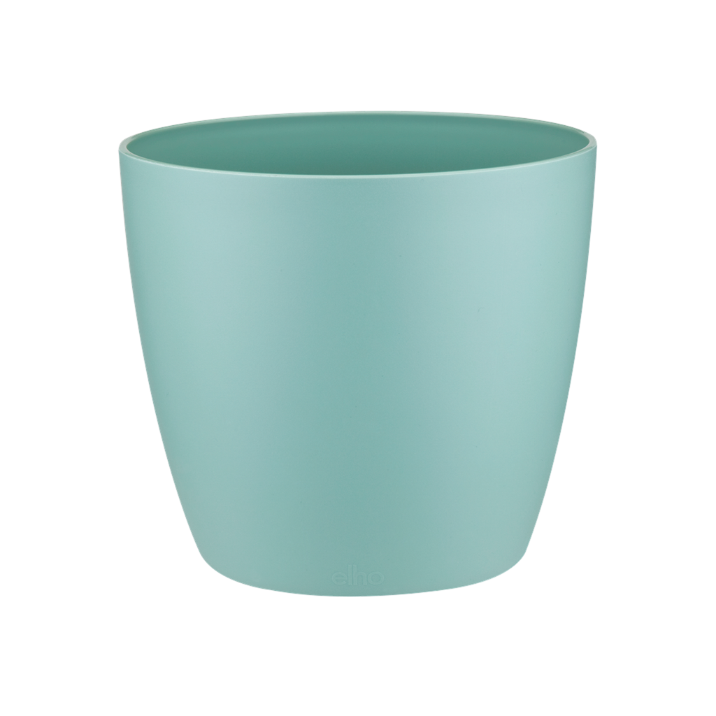 Mint Brussels Elho 14cm Pot