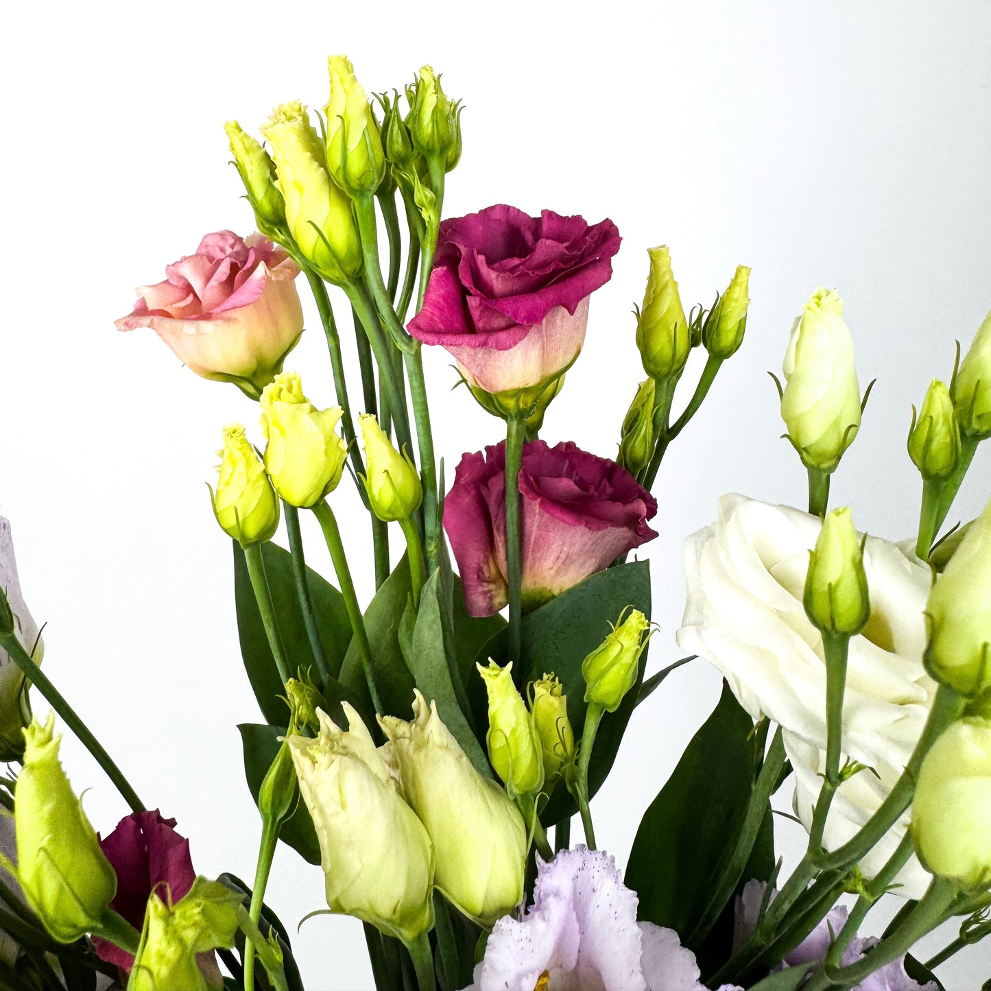 Lisianthus Fresh Flower Bouquet
