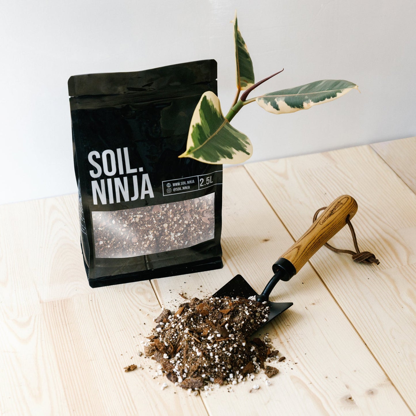 Ficus - Soil Ninja 2.5L