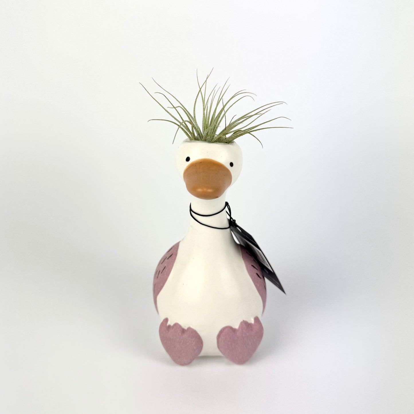 Tillandsia Silly Goose Ceramic
