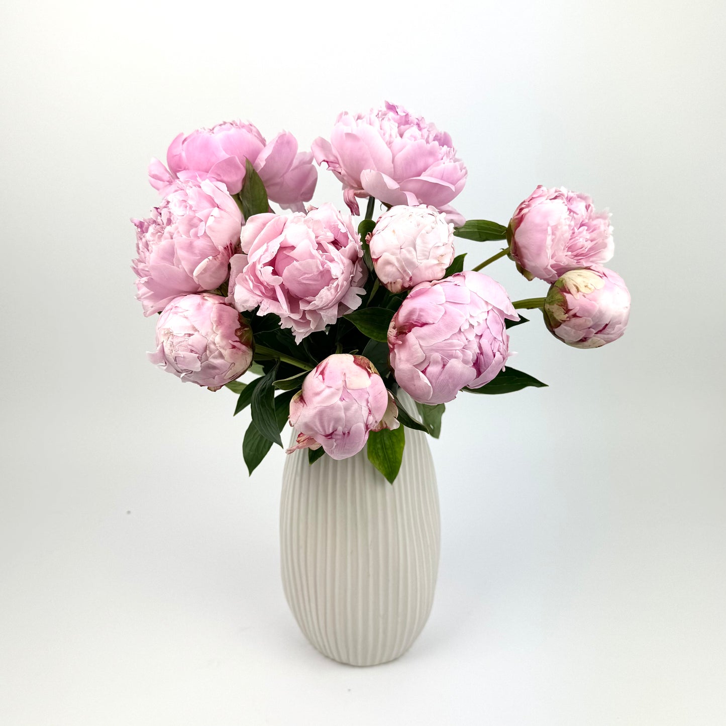 Pink Peony Bouquet - 10 Stems - Gift Wrapped