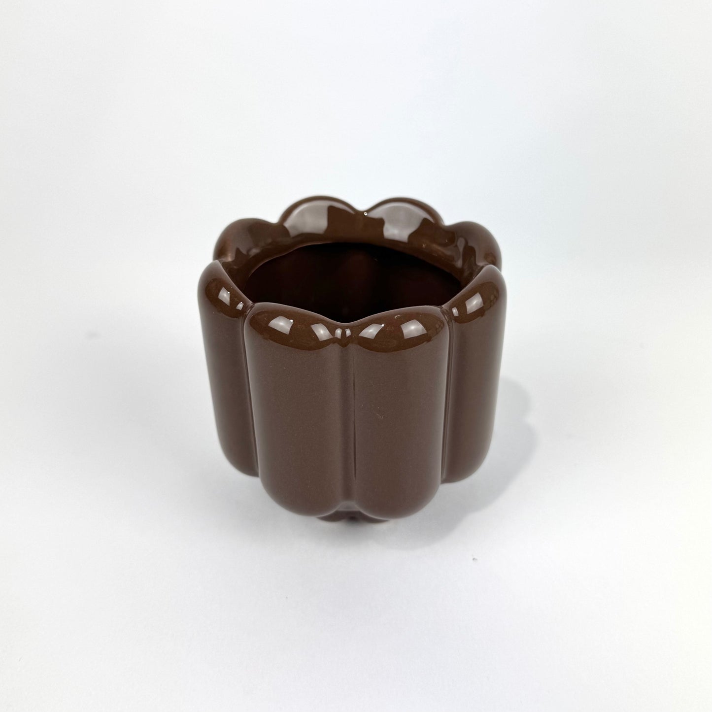 Desk Buddy Plant & Pot Bundle