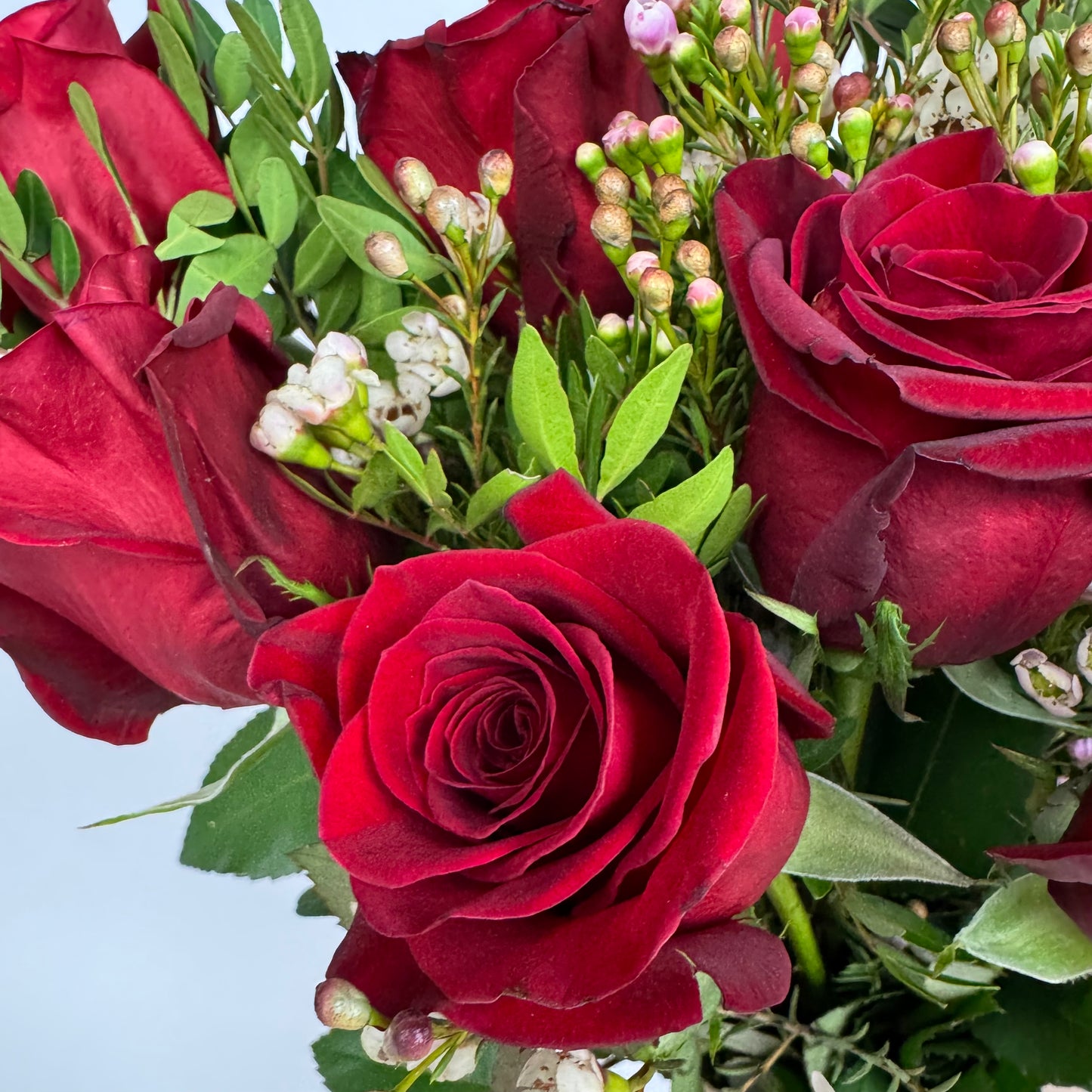 Valentine's 12 Red Rose Bouquet