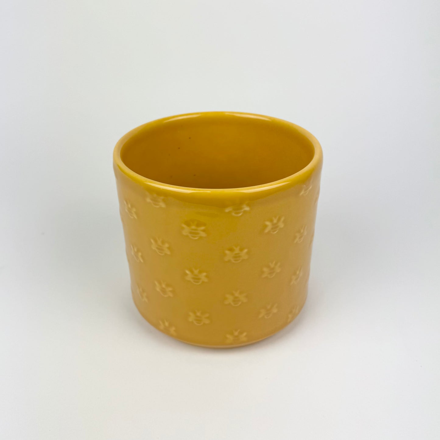 Ivyline 14cm Pots