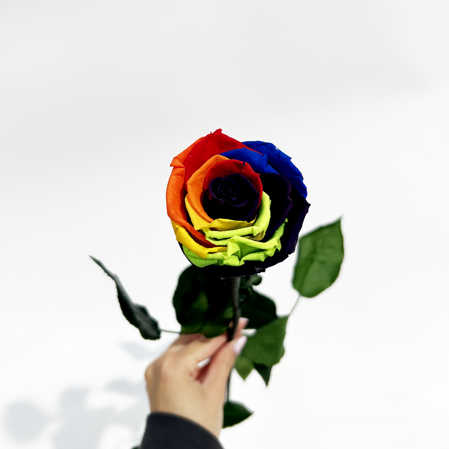 Single Forever Rose Stem