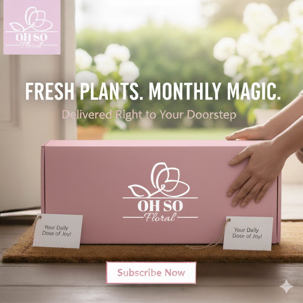 SUBSCRIPTION SERVICE