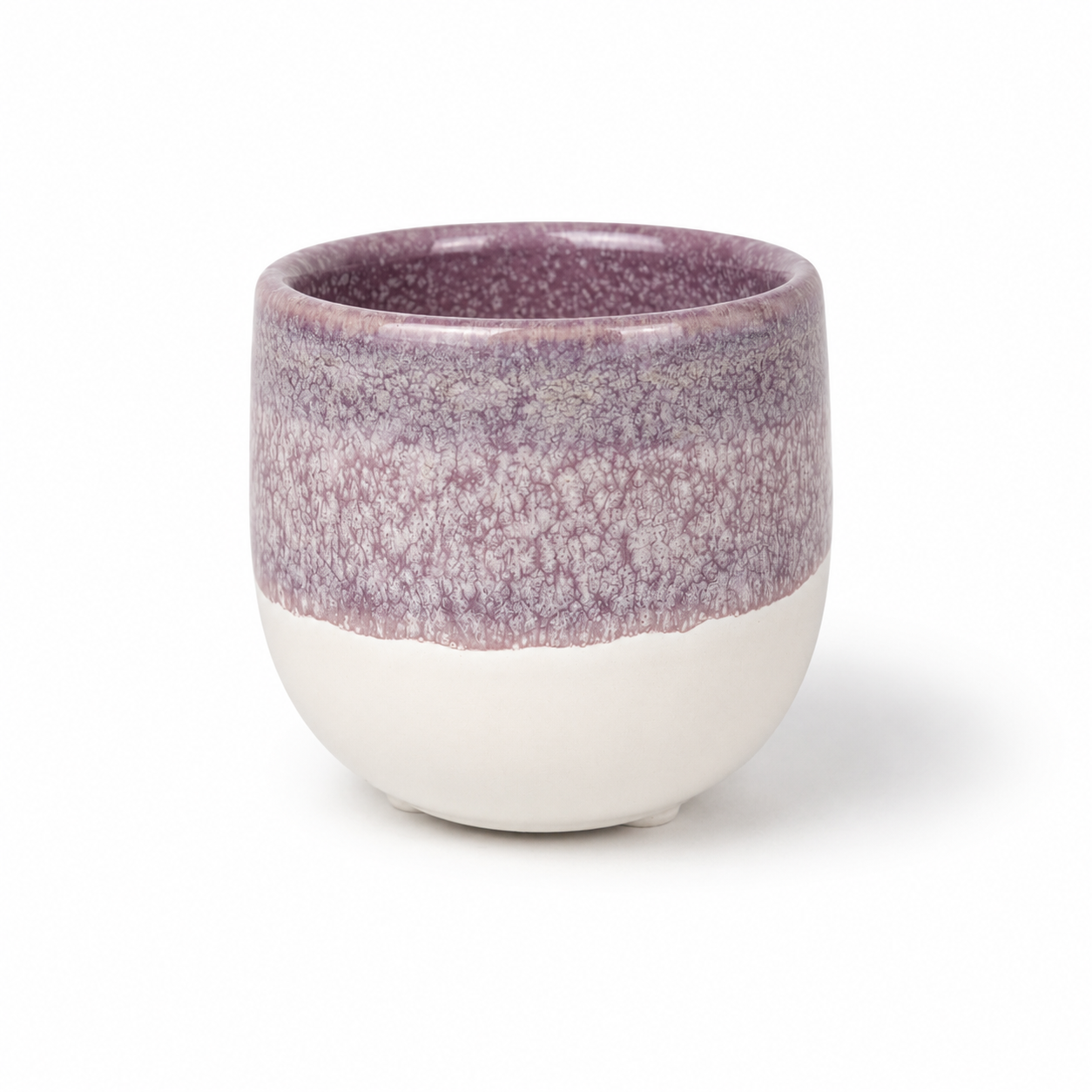 Desk Buddy Plant & Pot Bundle