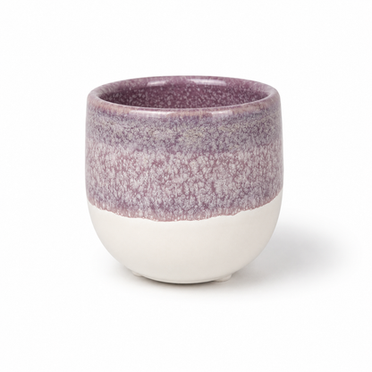 Desk Buddy Plant & Pot Bundle