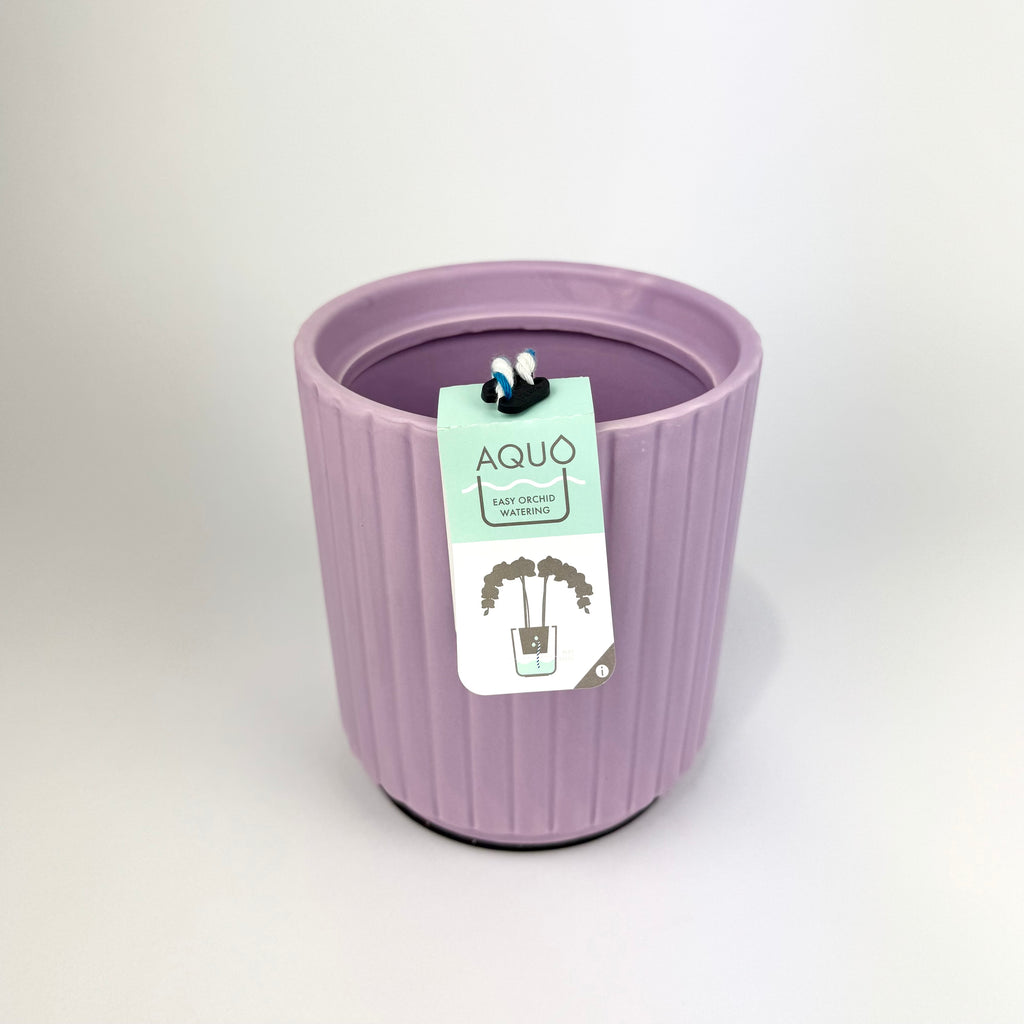 Self Watering Ceramic 13cm Plant Pot