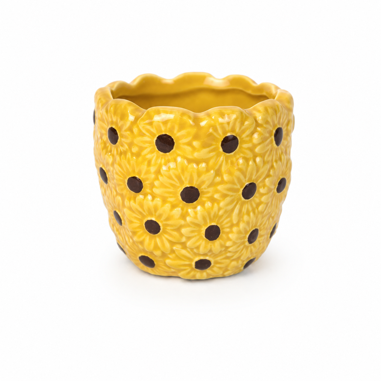 Desk Buddy Plant & Pot Bundle
