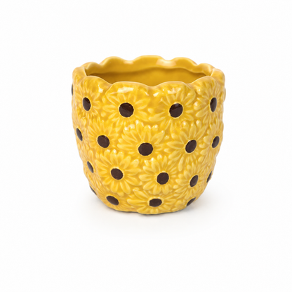 Desk Buddy Plant & Pot Bundle