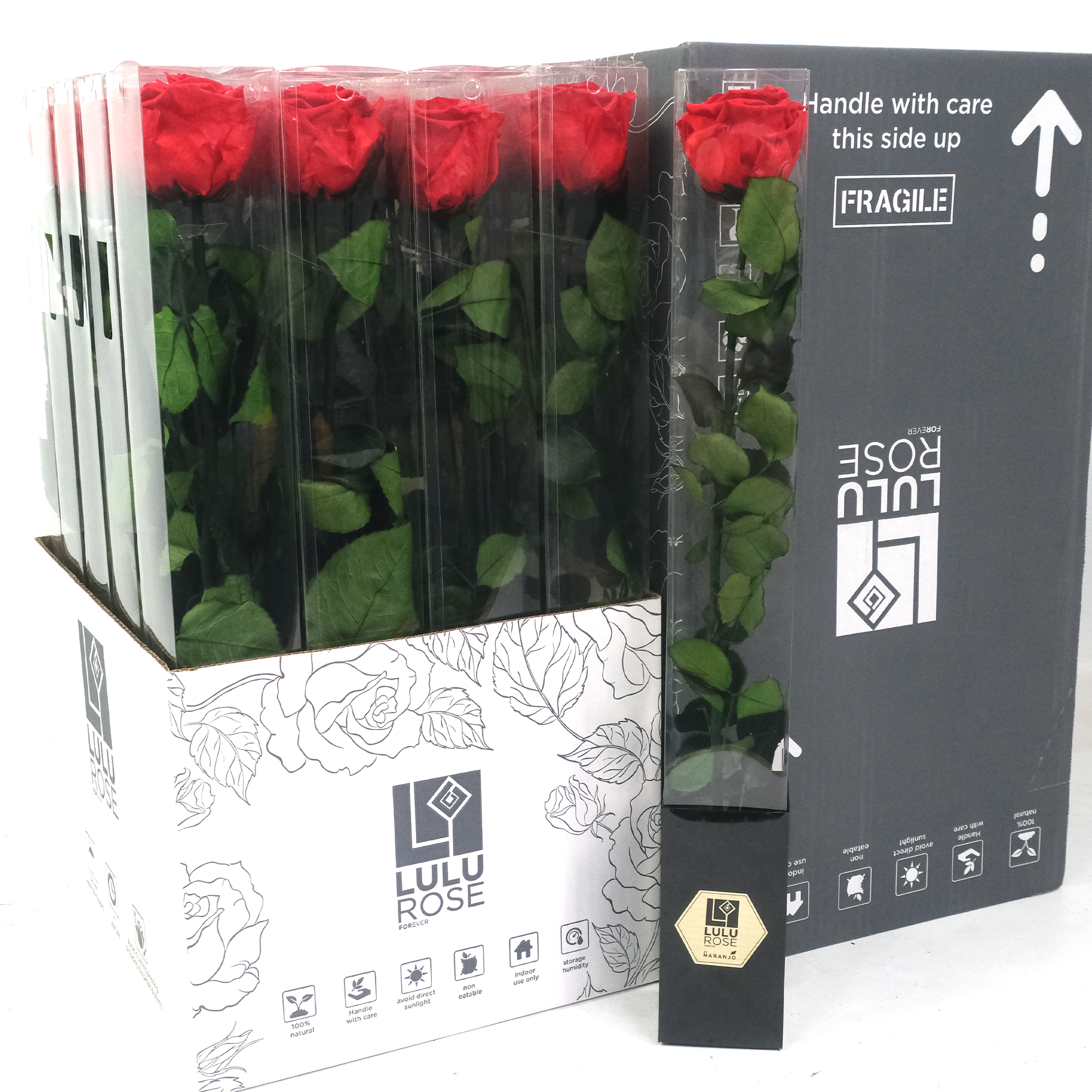 Single Forever Rose Stem