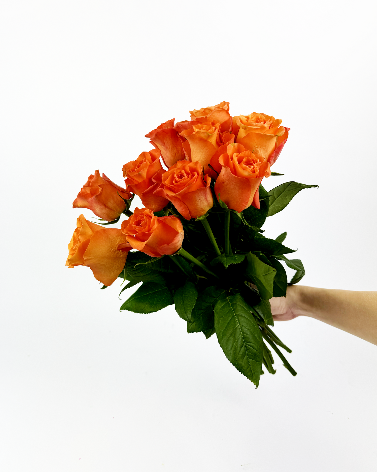 10 Orange Roses