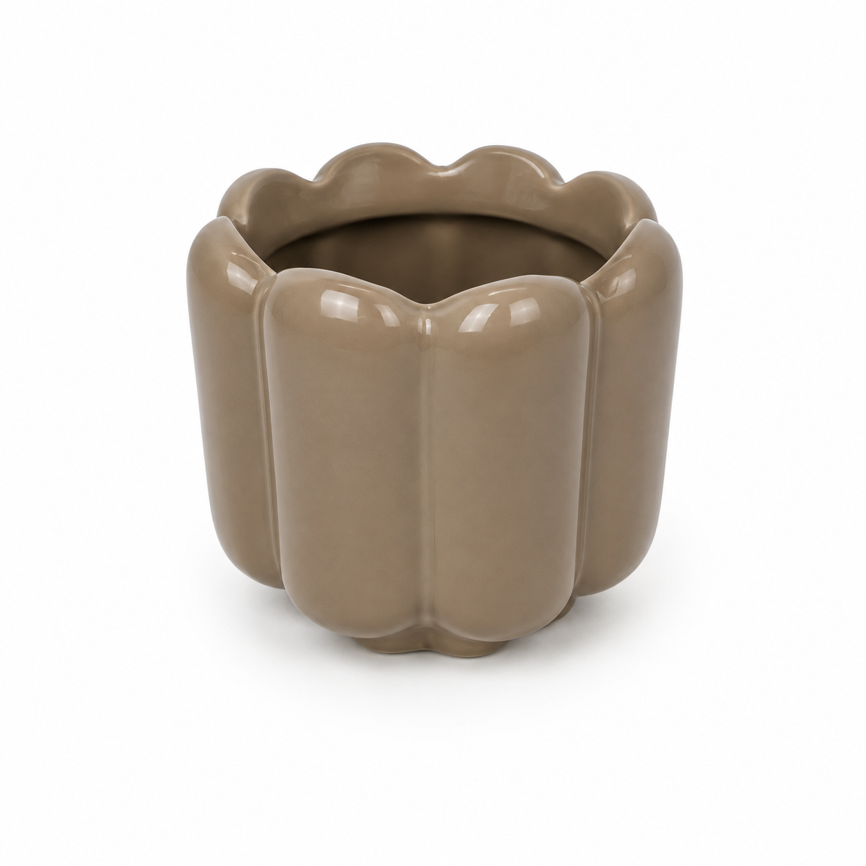 Desk Buddy Plant & Pot Bundle