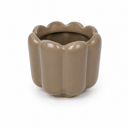 Desk Buddy Plant & Pot Bundle