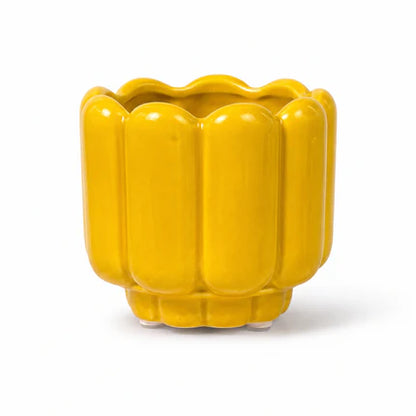 Mini 7cm Plant Pots Ceramic pots
