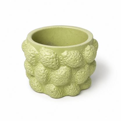 Desk Buddy Plant & Pot Bundle