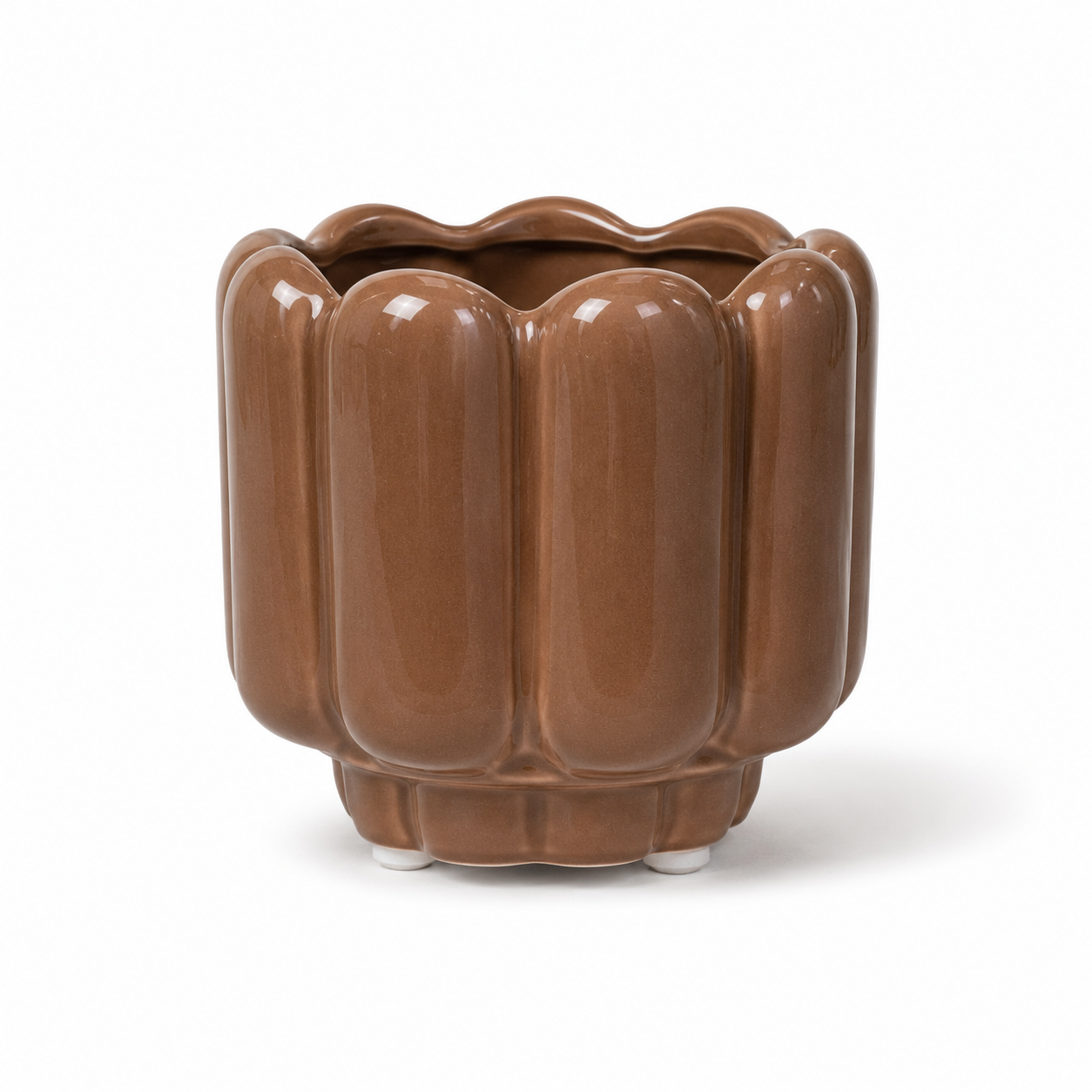 Desk Buddy Plant & Pot Bundle