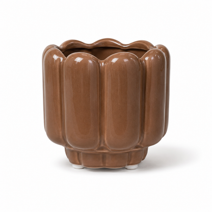 Desk Buddy Plant & Pot Bundle