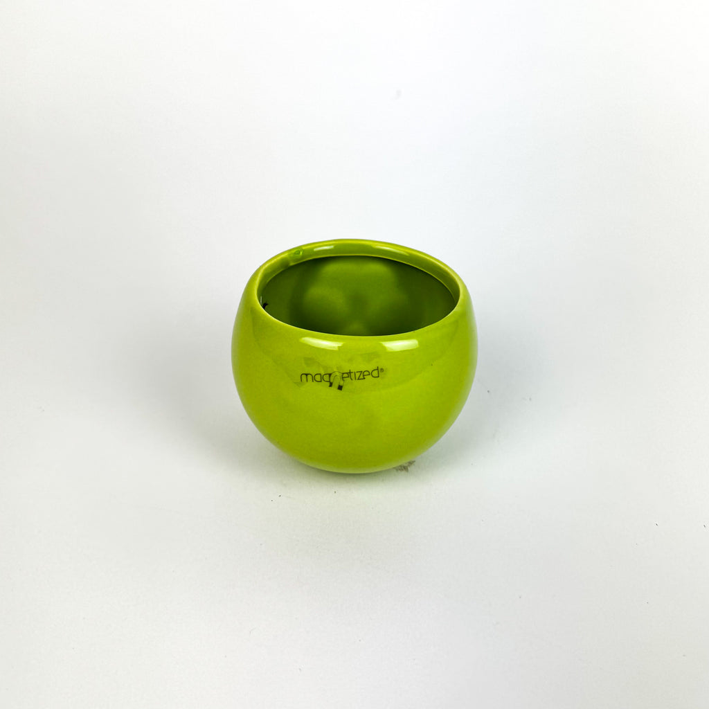 Mix Colour Mix Magnetic Plant Pots