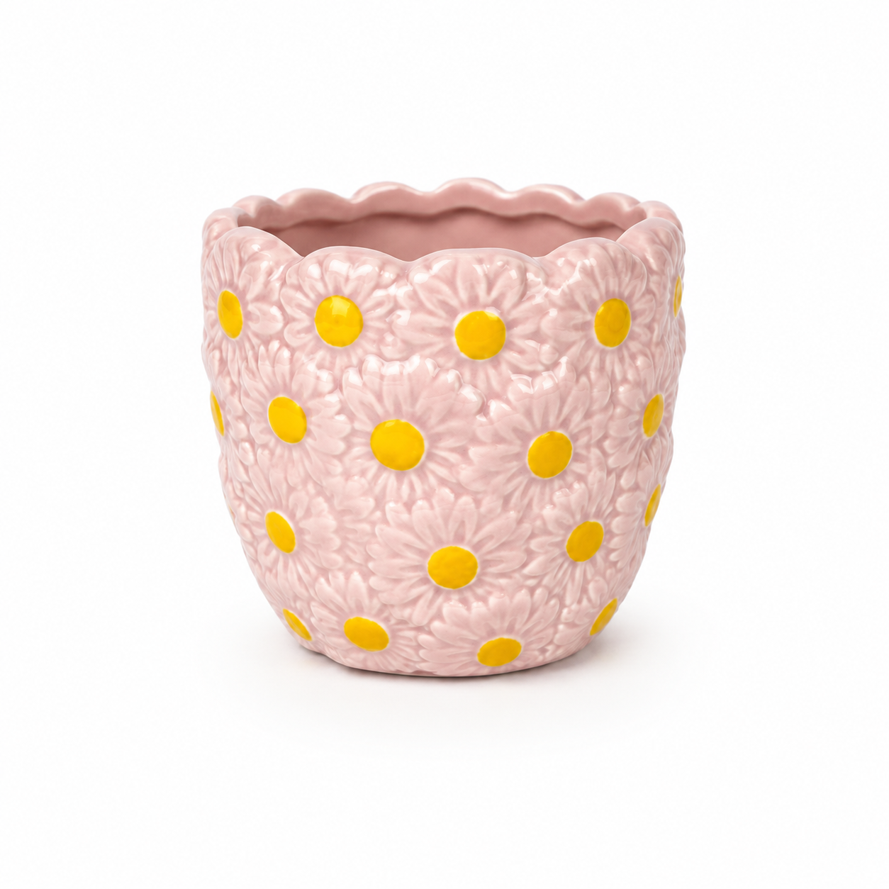 Desk Buddy Plant & Pot Bundle