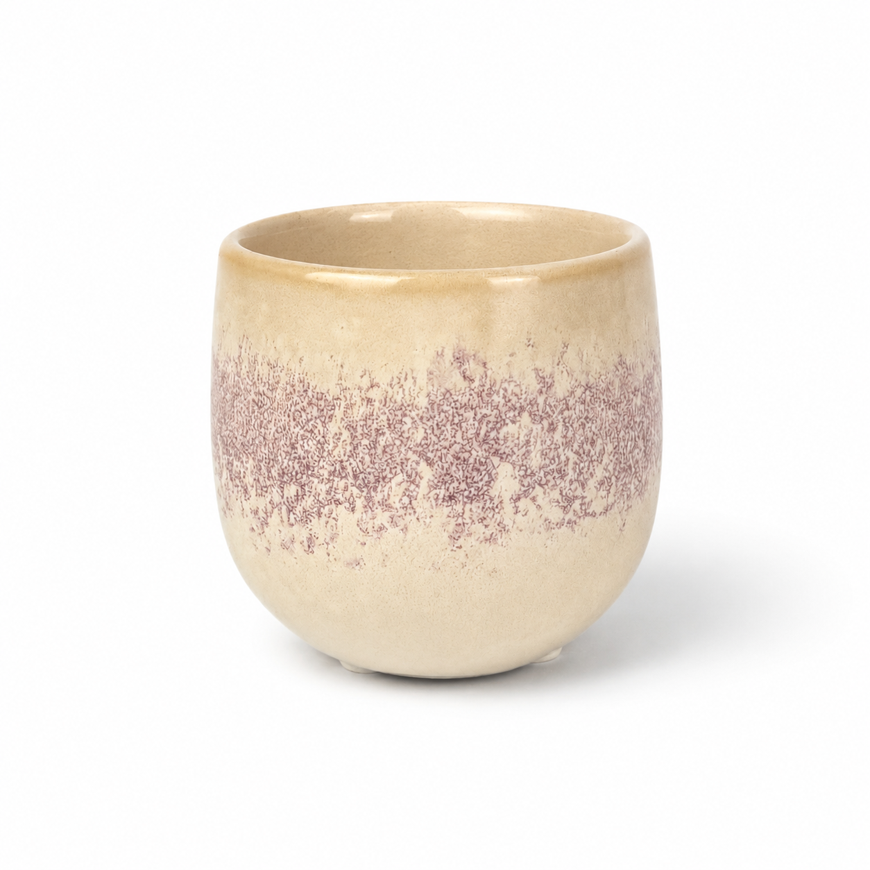 Desk Buddy Plant & Pot Bundle