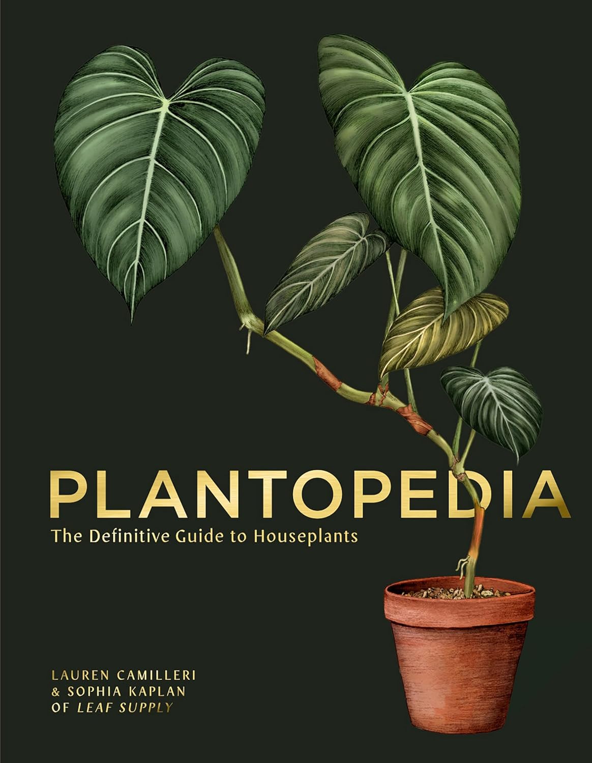 Plantopedia: The Definitive Guide to House Plants Book