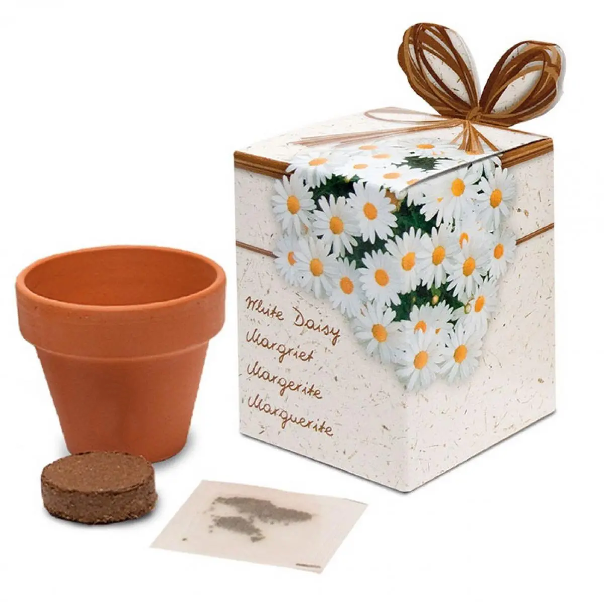 Flower growing kits 6cm