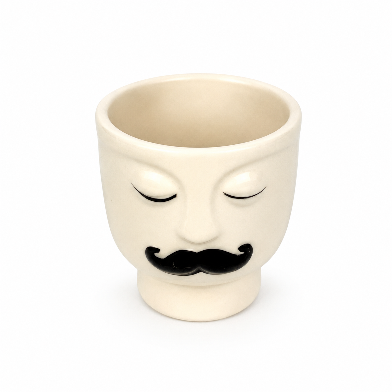 Desk Buddy Plant & Pot Bundle