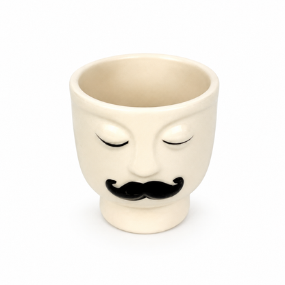 Desk Buddy Plant & Pot Bundle