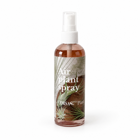 Air Plant Spray