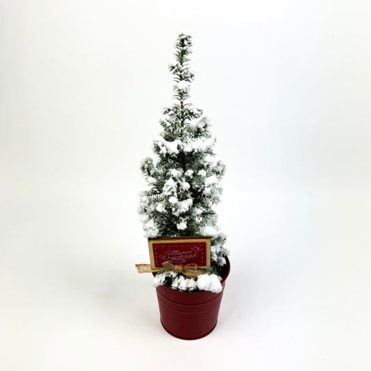 'Merry Christmas' Frosted Christmas Tree With Pot