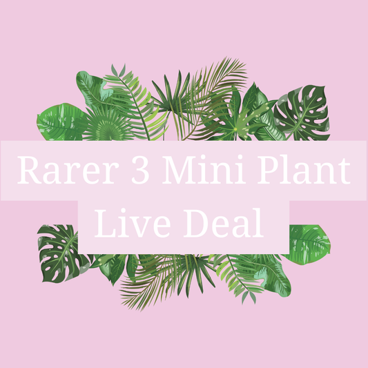 Rarer 3 Mini Plants Live Deal
