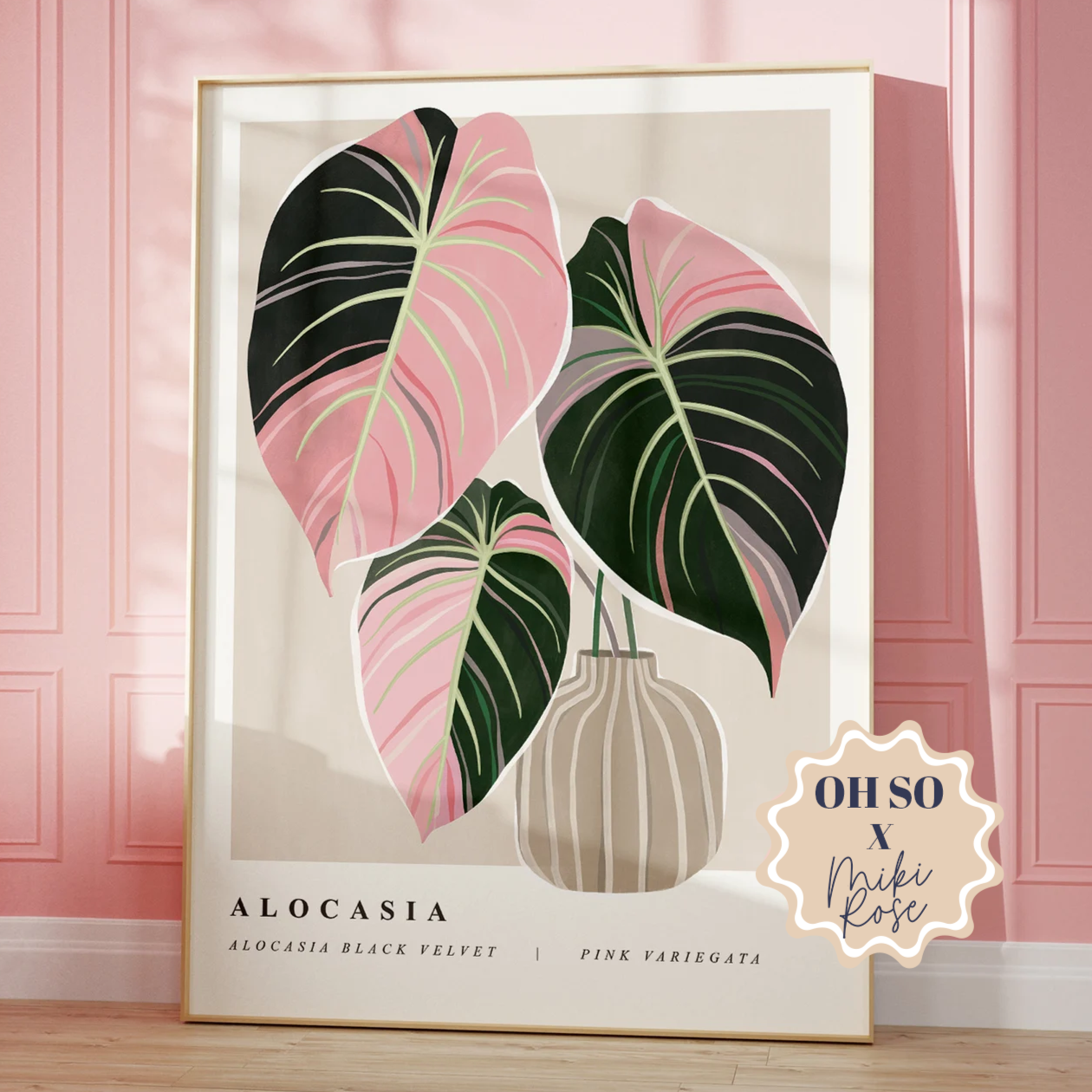 Alocasia Black Pink Velvet Print