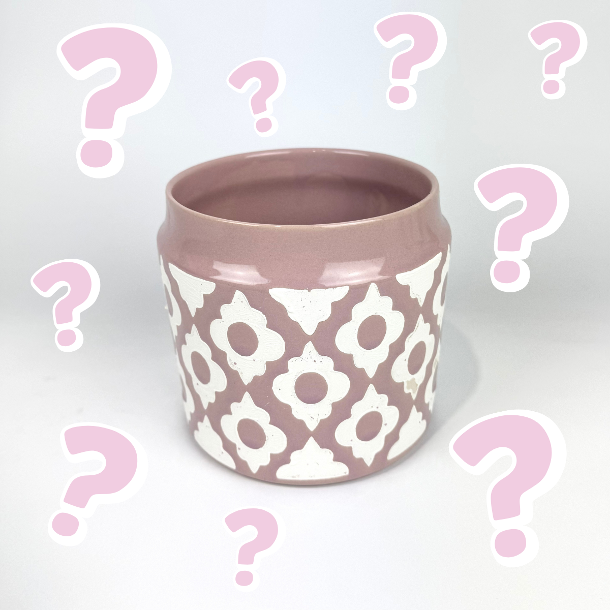 Ceramic Pots live choice