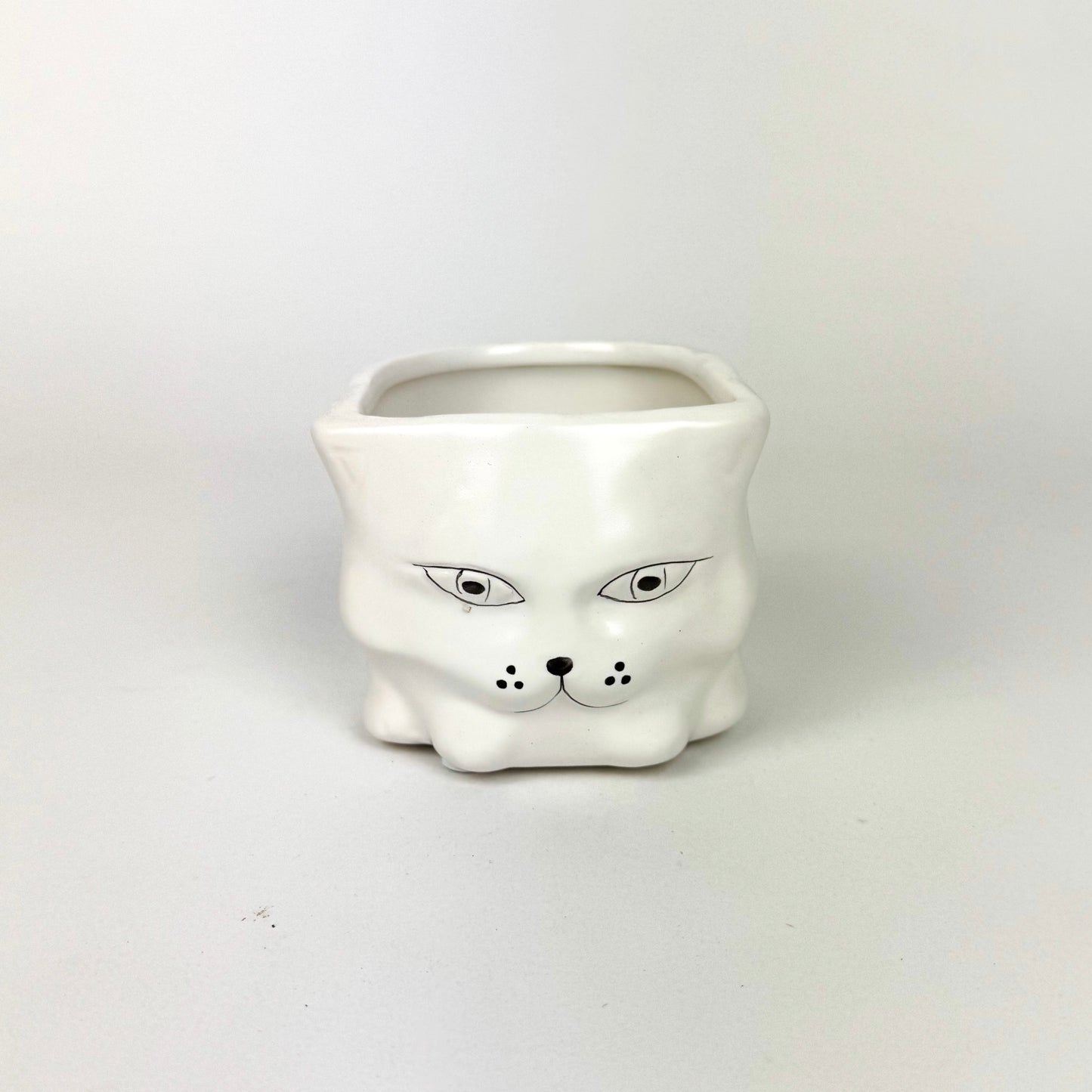 Mini Dog/Cat Ceramic pots