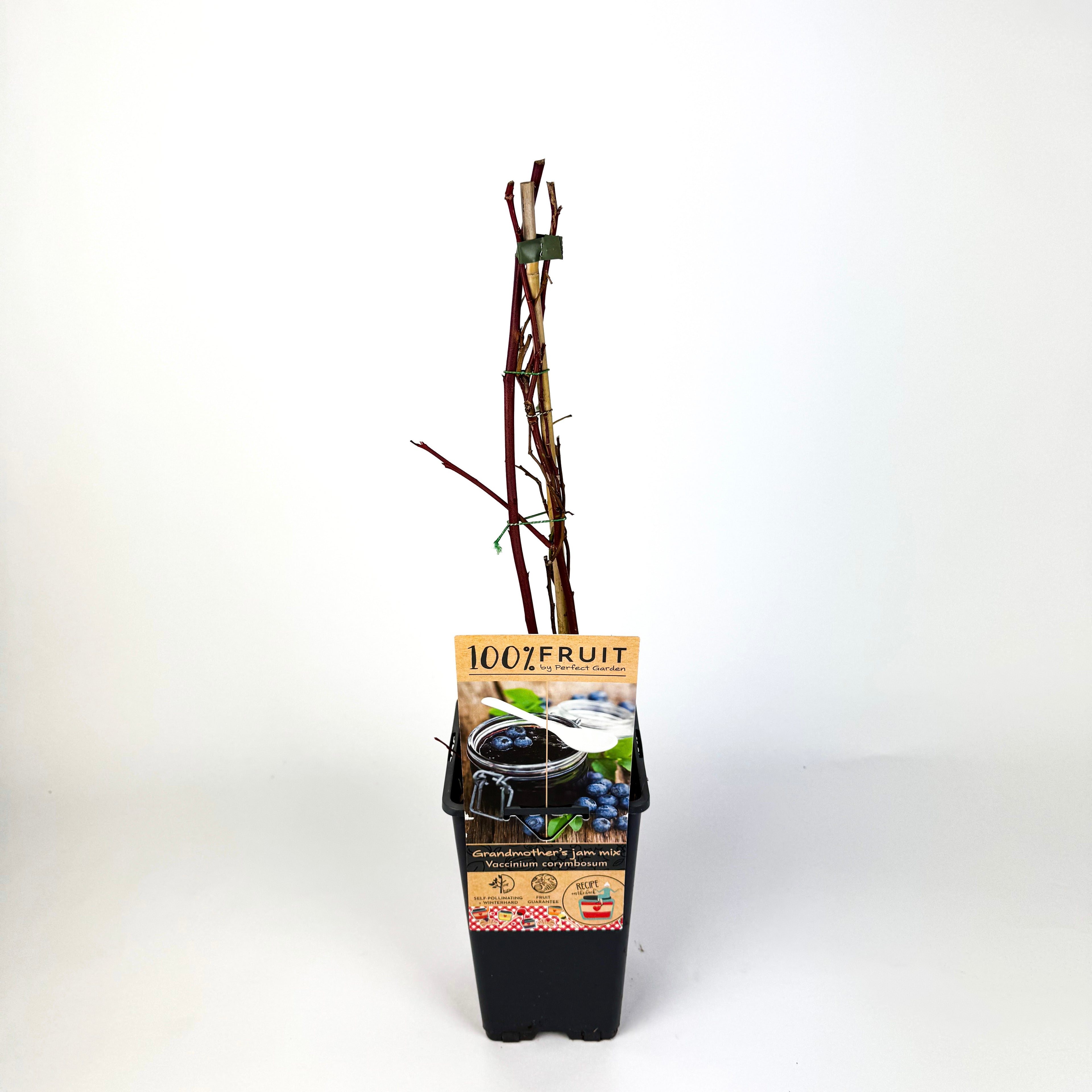 Fruit Trees To Make Marmalade Outdoor Plant