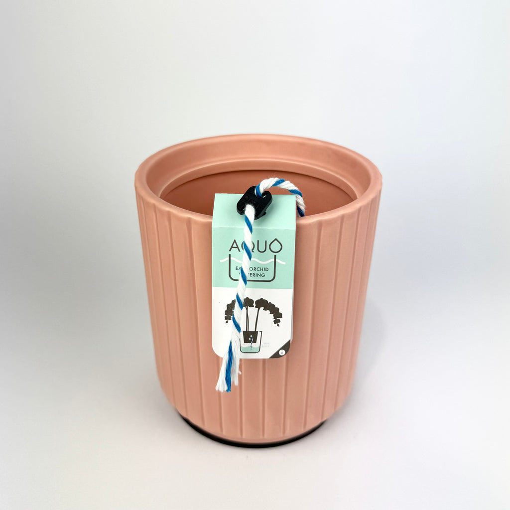 Self Watering Ceramic 13cm Plant Pot