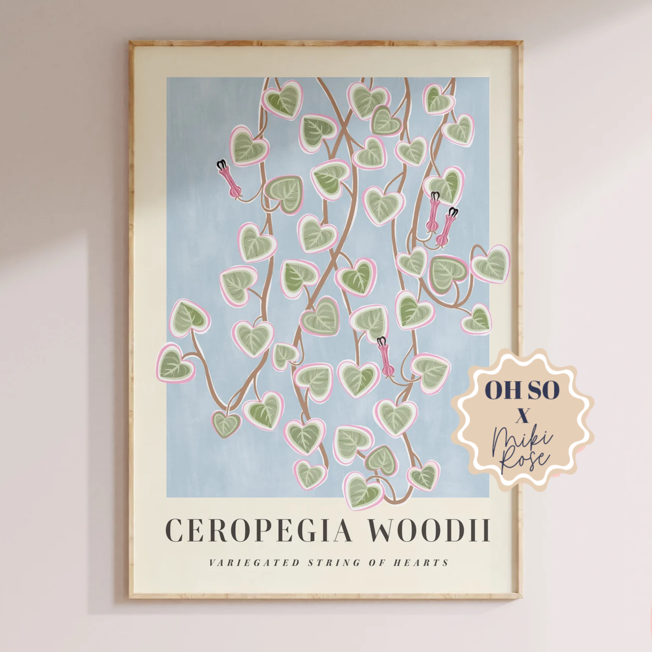 Ceropegia Woodi Print