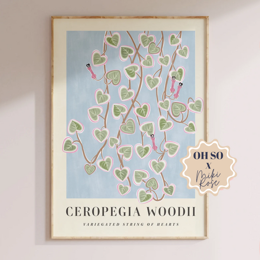 Ceropegia Woodi Print