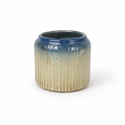 Desk Buddy Plant & Pot Bundle
