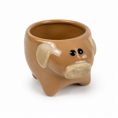 Desk Buddy Plant & Pot Bundle