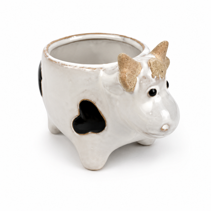 Desk Buddy Plant & Pot Bundle