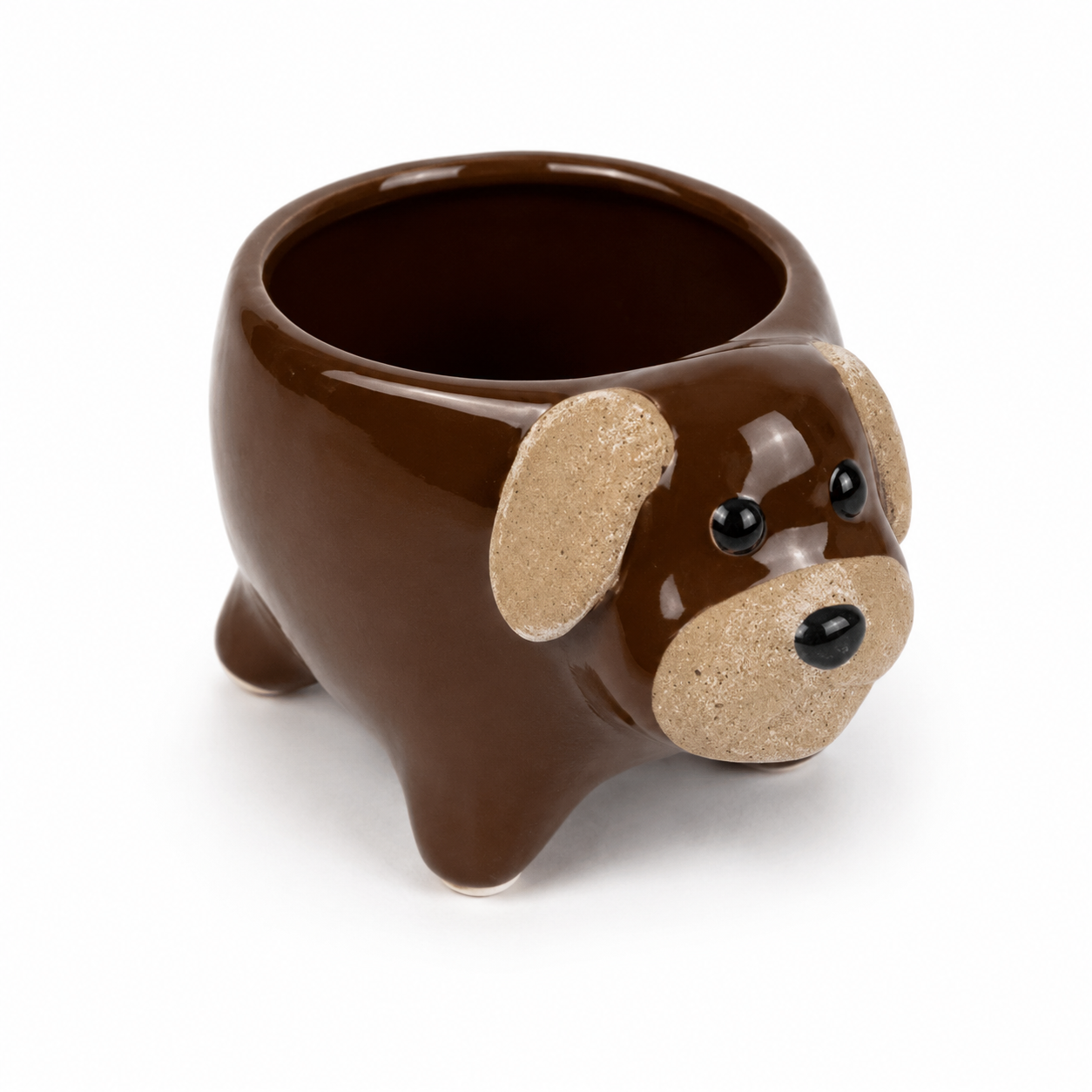 Desk Buddy Plant & Pot Bundle