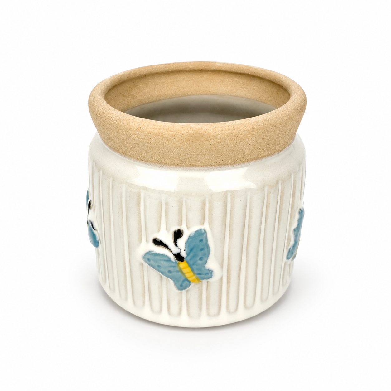 Desk Buddy Plant & Pot Bundle