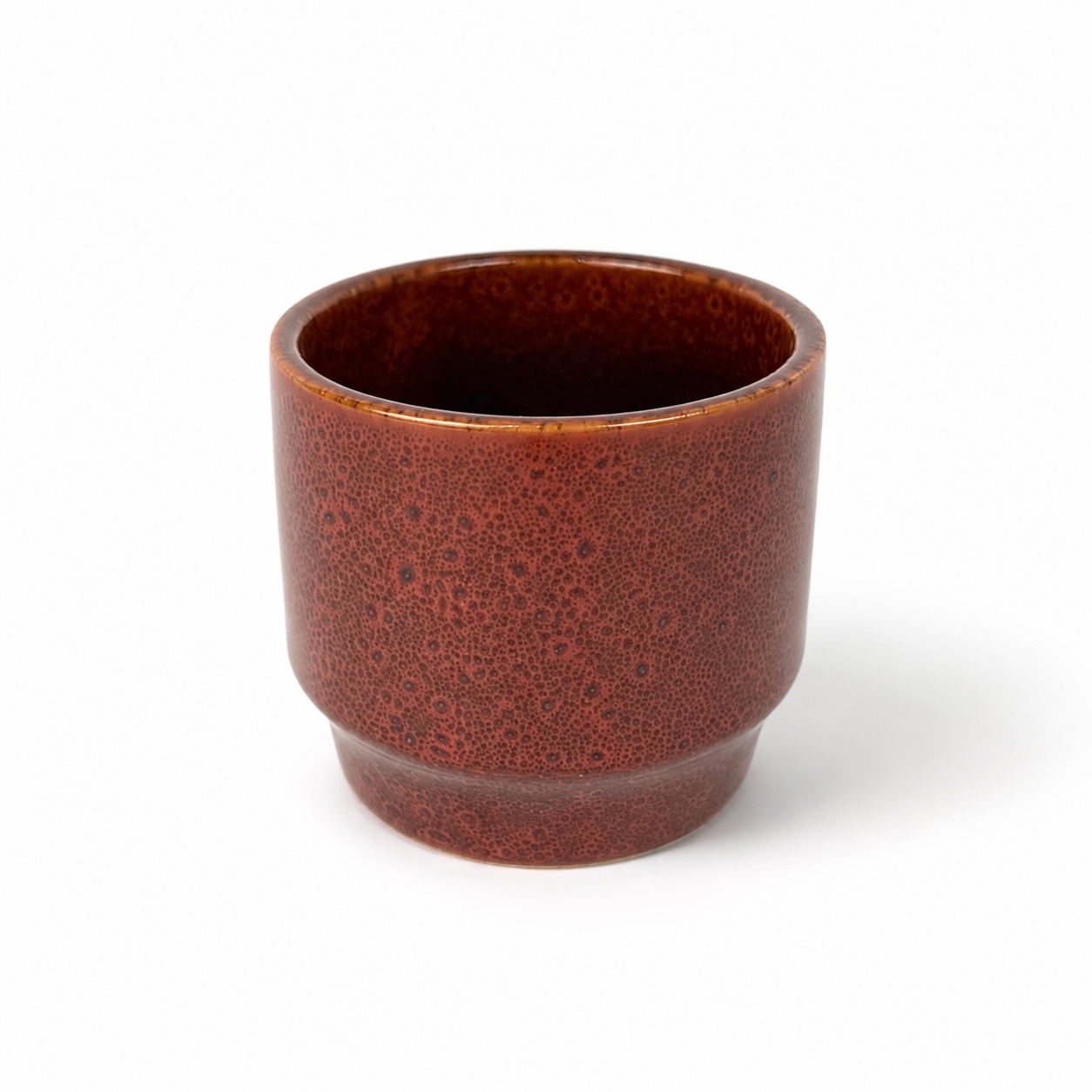 Desk Buddy Plant & Pot Bundle