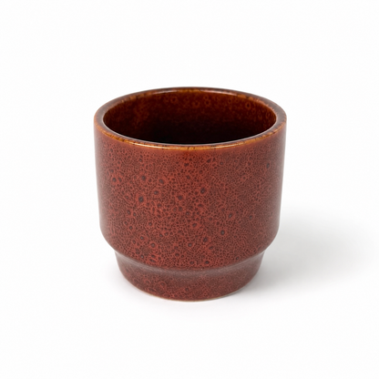 Desk Buddy Plant & Pot Bundle