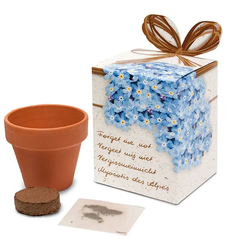 Flower growing kits 6cm